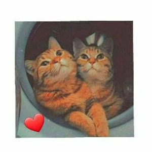 Meet your Posher, Hani